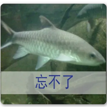 Empurau 忘不了鱼